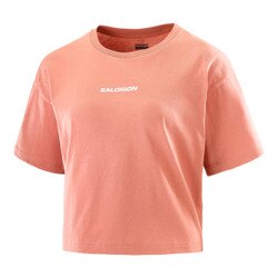 Salomon Logo Twist Short Sleeve TShirt Women's in Light Mahogany